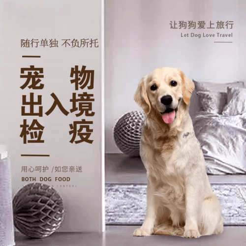 中山市宠物托运到哥伦比亚猫狗宠物入境规定和