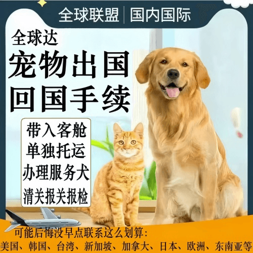 中山市宠物托运到柬埔寨宠物入境规定和要求