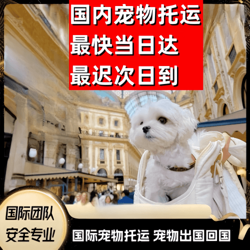 中山市到澳大利亚（澳洲）宠物入境规定和要求