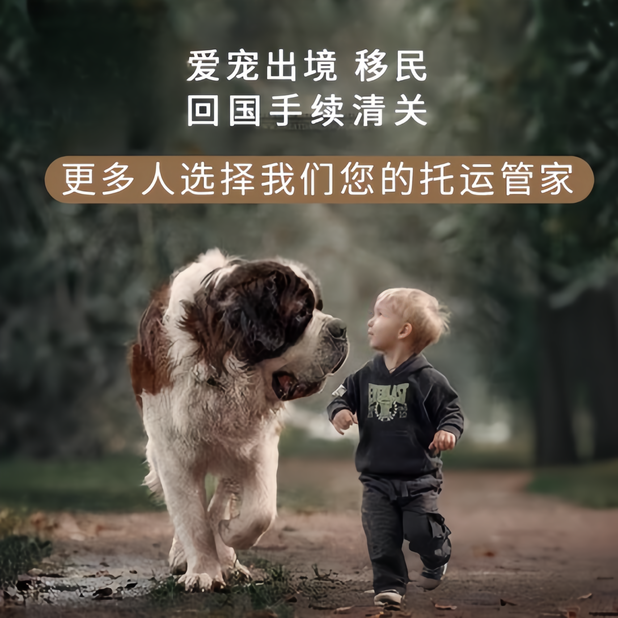 满财中山市宠物全球达宠物托运在遵守入境目的地政策的条件