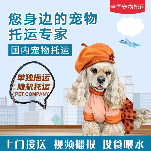 满财中山市宠物全球达宠物托运作为专业的宠物运输代理机构
